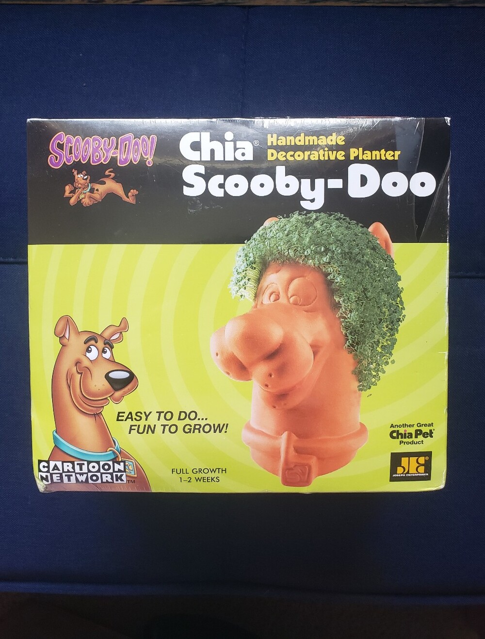 2012 Sealed Scooby-Doo Chia Pet Handmade Decorative Planter Cartoon Network New
